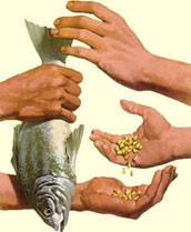 ilustração que mostra peixe trocado milho