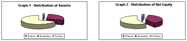 Graph 1 – distribution of assets – Graph 2 – distribution of net equity